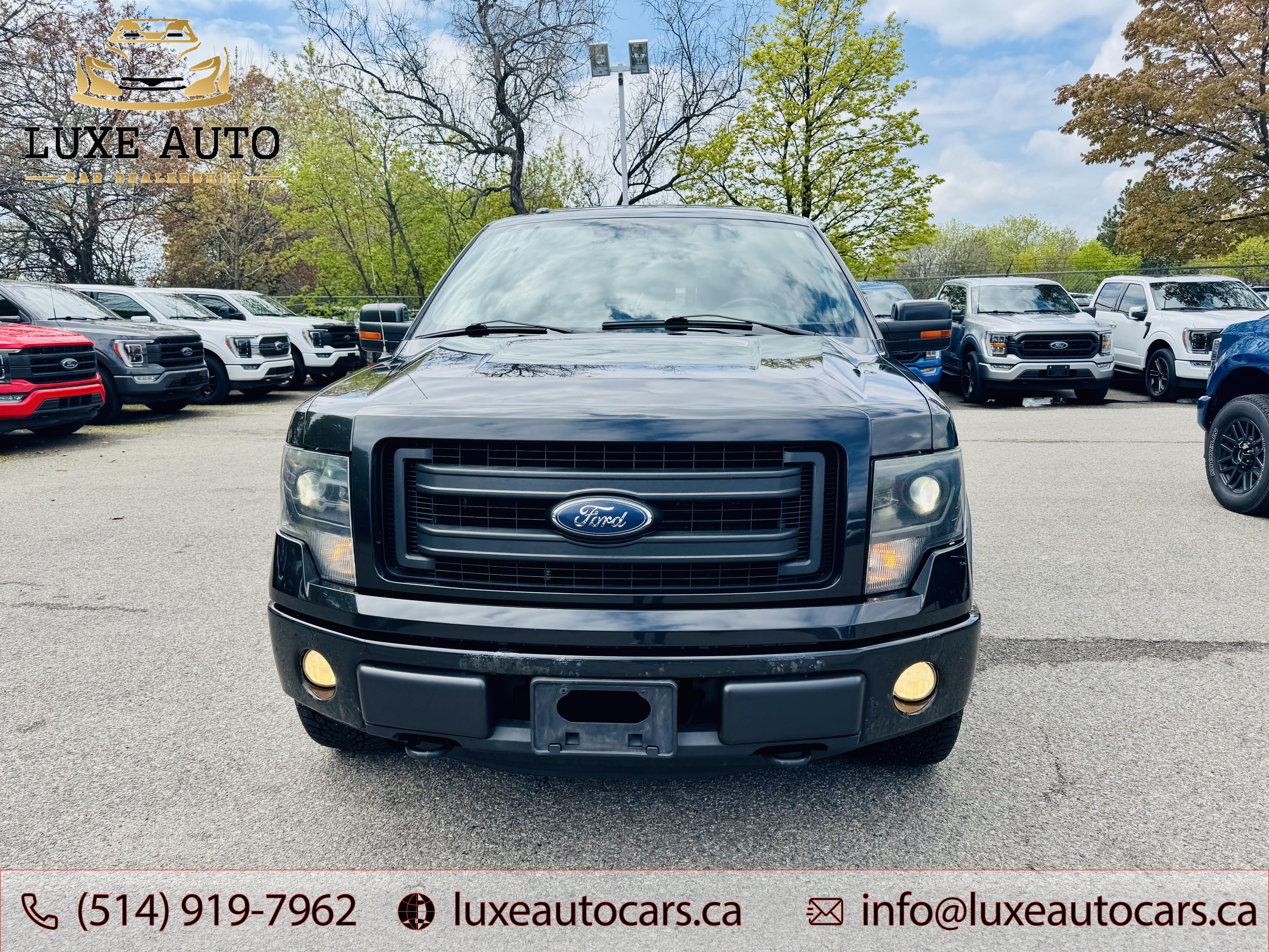 2014 Ford F-150 FX4 5.0L V8 SuperCrew 4WD